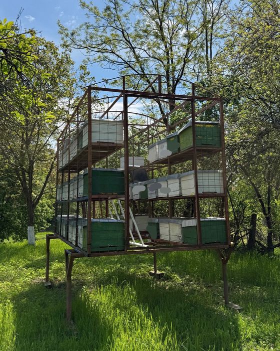 Pavilion apicol cu loc pentru 56 de lăzi în pat rece pe 10 rame + loc de 1 magazie pe 1/2 sau 1/3 (se vinde fără lăzi)