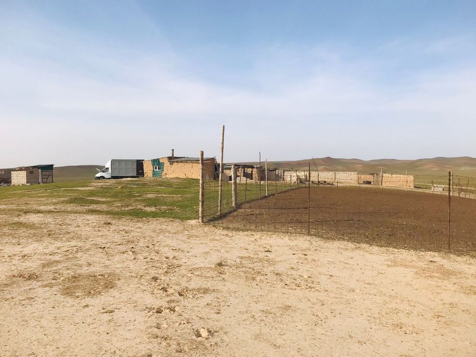 Кора сатылады жайылымдық жерімен