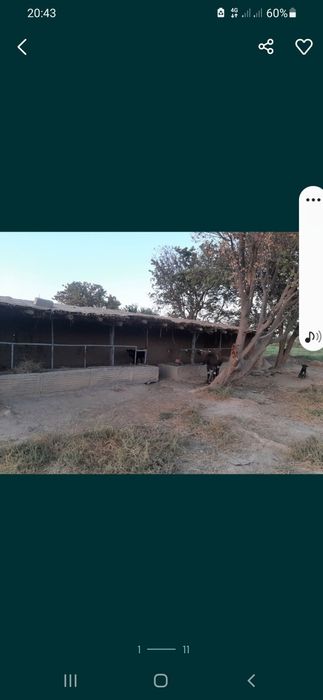 Uy katej dala hovli uzbekcha