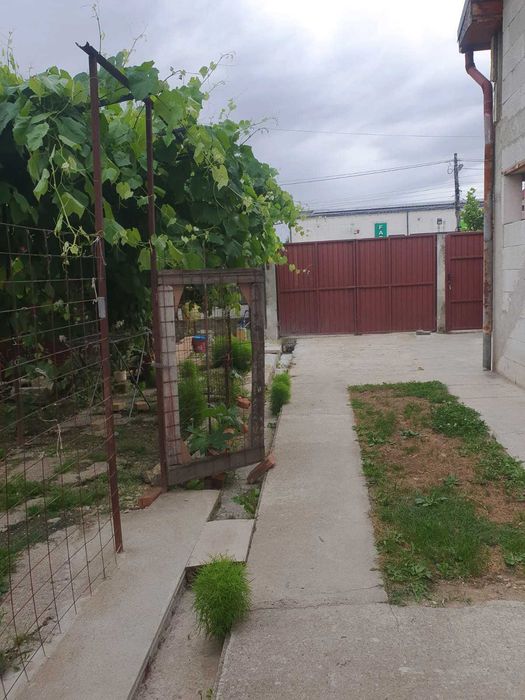 Casă P+M cu teren 744 mp în Dumbrava (Timiș) – Zonă excelentă