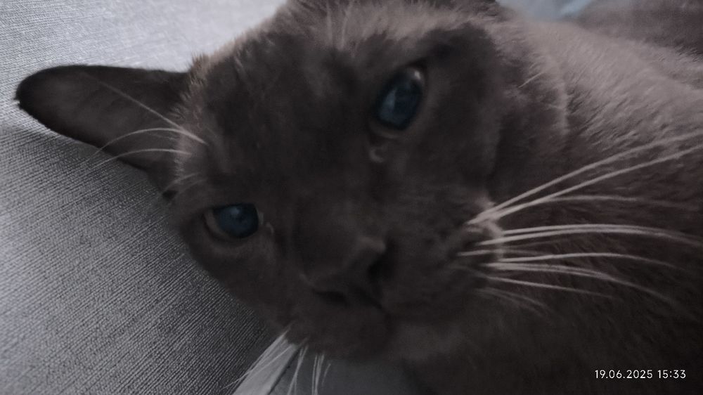 Европейская БУРМА