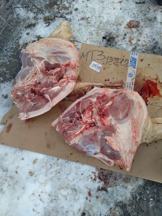 Мясо свинина тушами