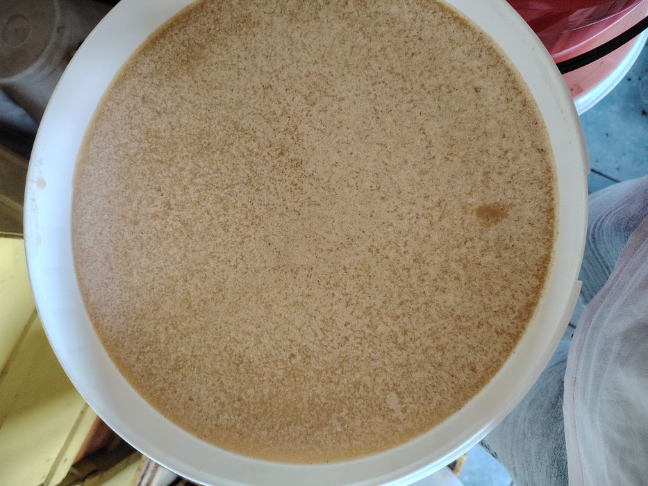 Vând miere polifloră de toamna