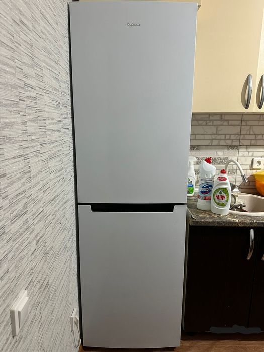 Холодильник Бирюся