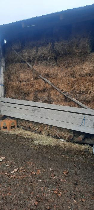 Vând baloți de fân