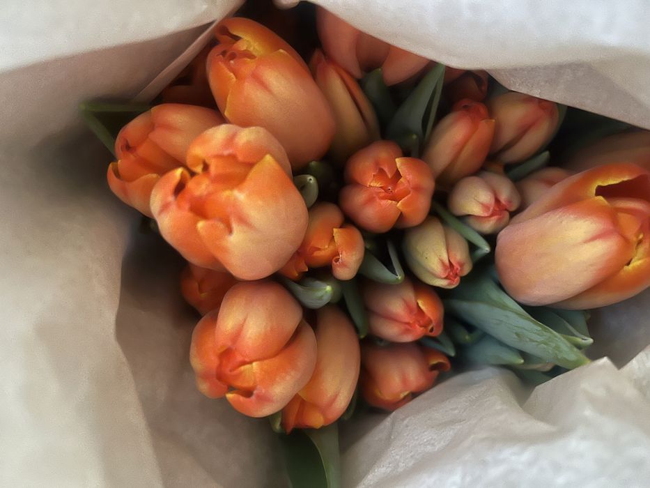Тюльпаны доставка 7-8 марта