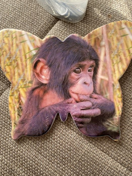 Кухонные принадлежности за 700 т все