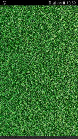 ГАЗОН(искуственная трава)