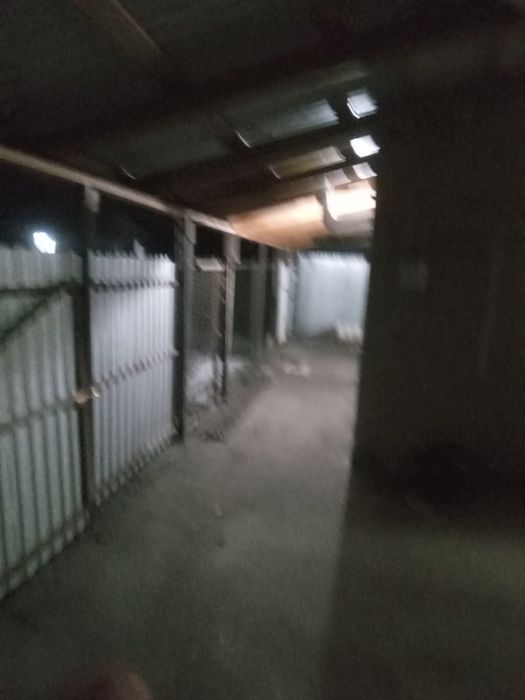 Недвижимость дом