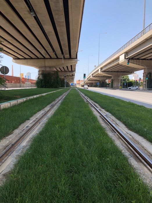 Семена газоны