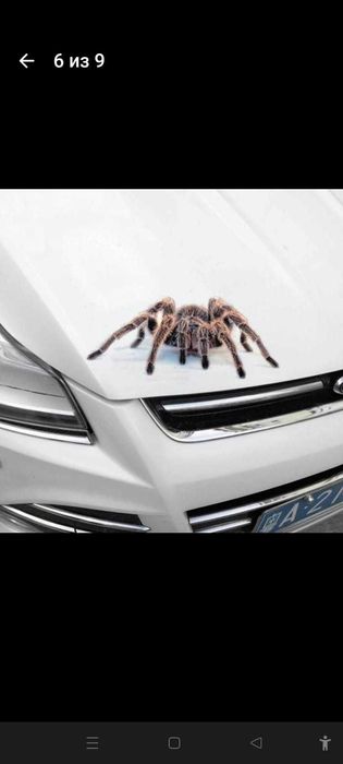 Продам наклейки на автомобиль