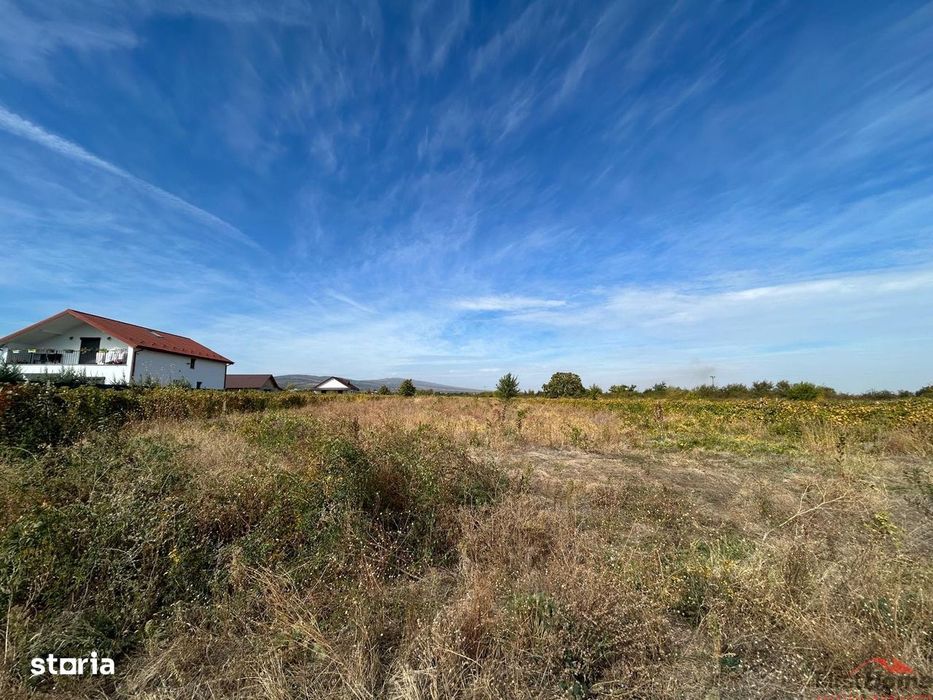 Teren de vanzare 3704 mp, extravilan Odobesti