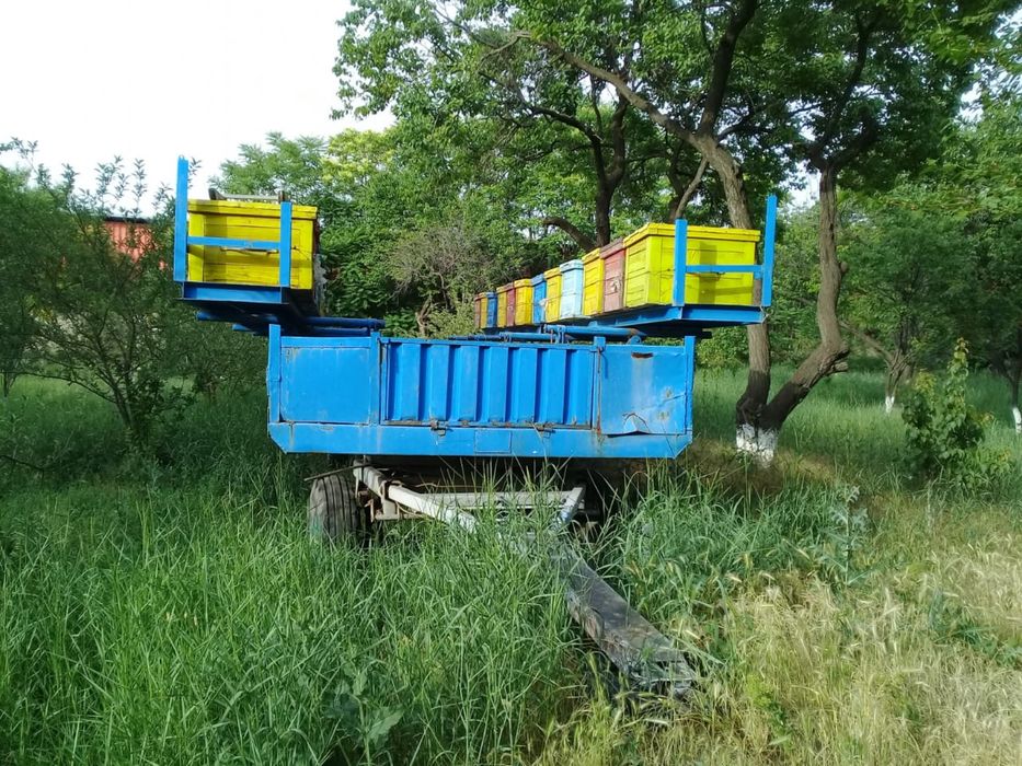 Продается на колесах Пасека