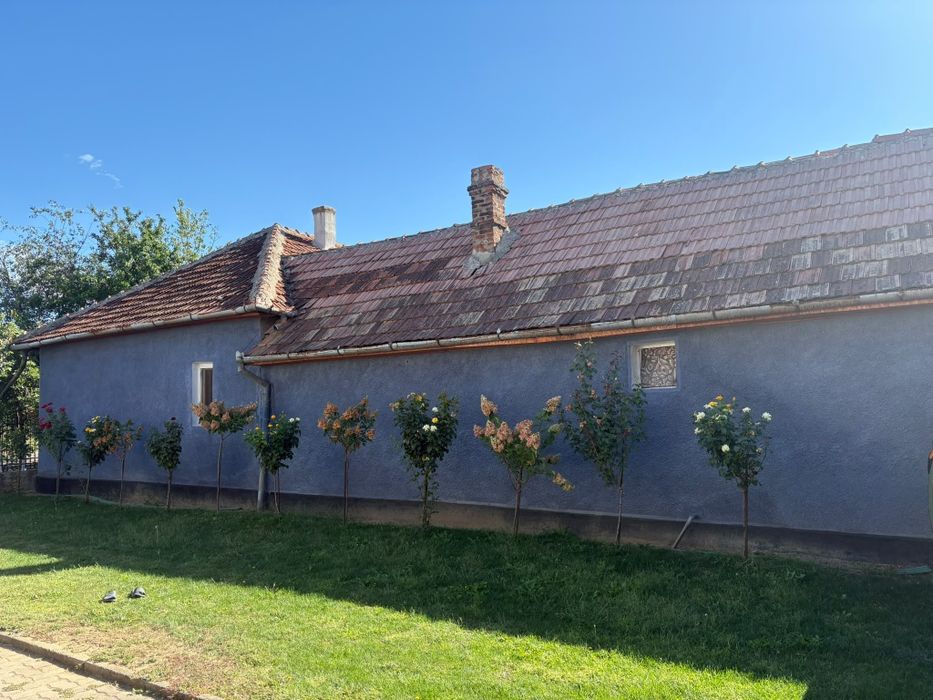 Casa de vânzare, teren 14 arii