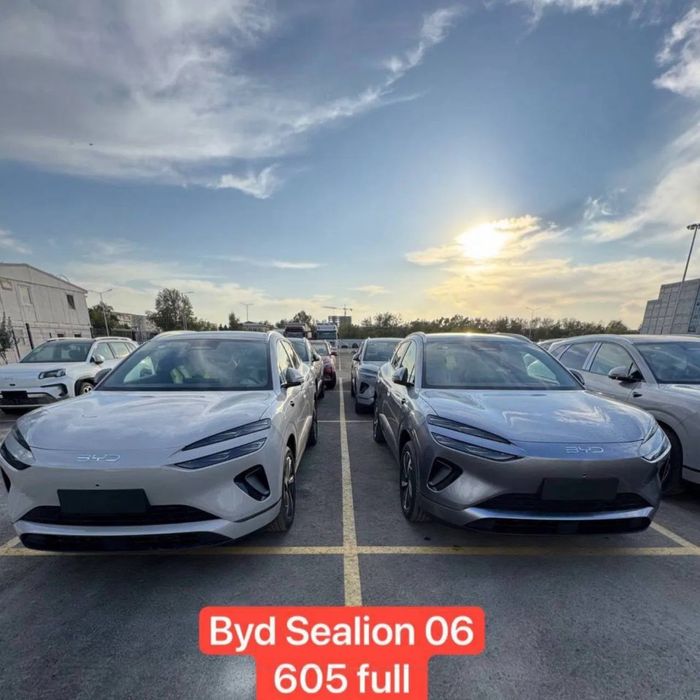 Sealion 06 Pilot plus 605 ev Byd