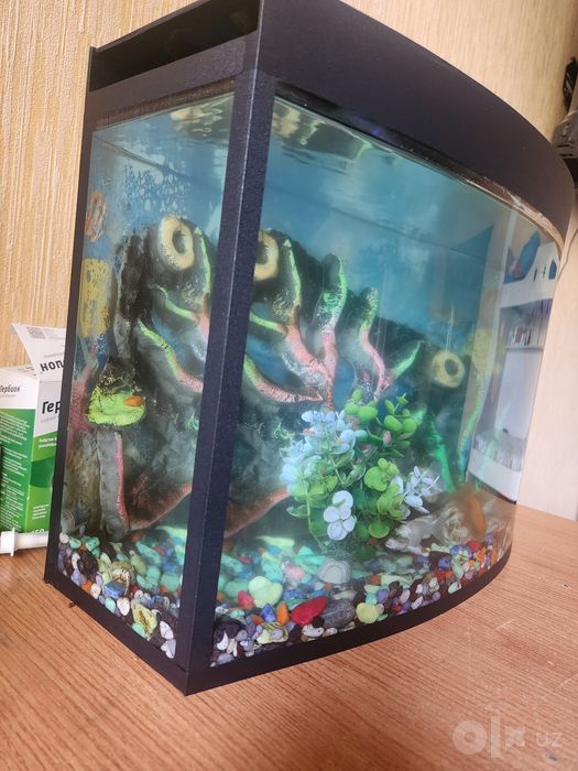 Avarium 35 litr kotta
