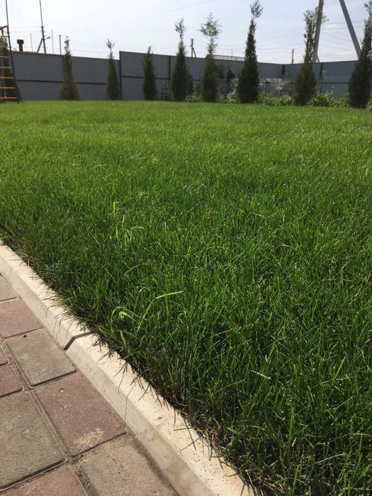 Газон газон газон под ключ