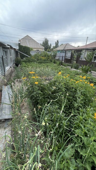 Продам дом район детского мира