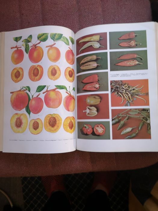 Продавам двата тома на Селскостопанска Енциклопедия