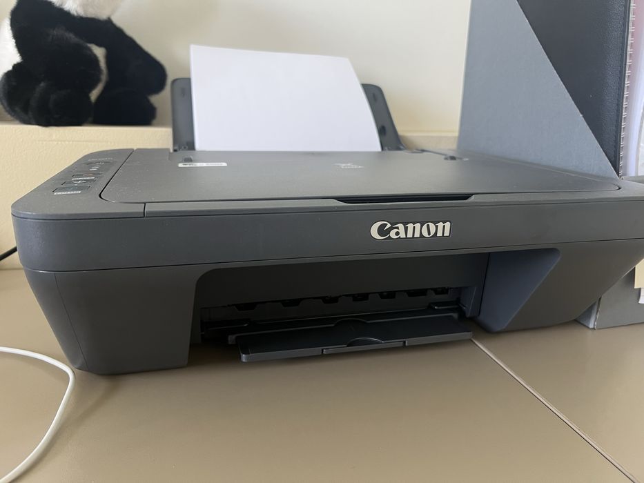 Принтер Canon pixma mg2541s