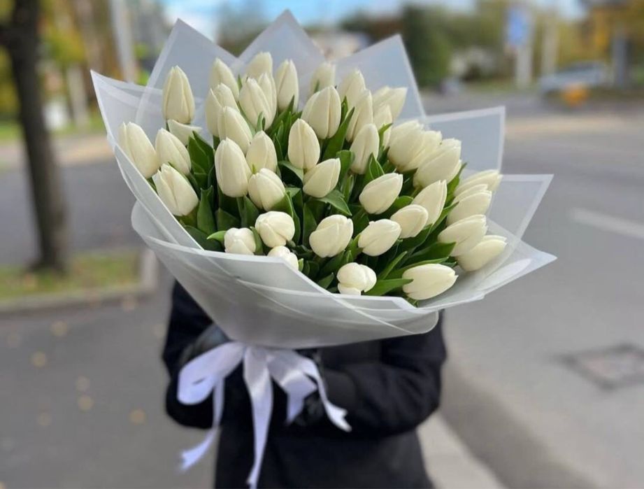 Нежные голландские тюльпаны