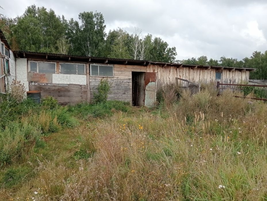 Участок 20 соток