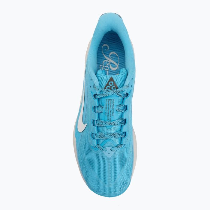 Nike Pegasus ACG