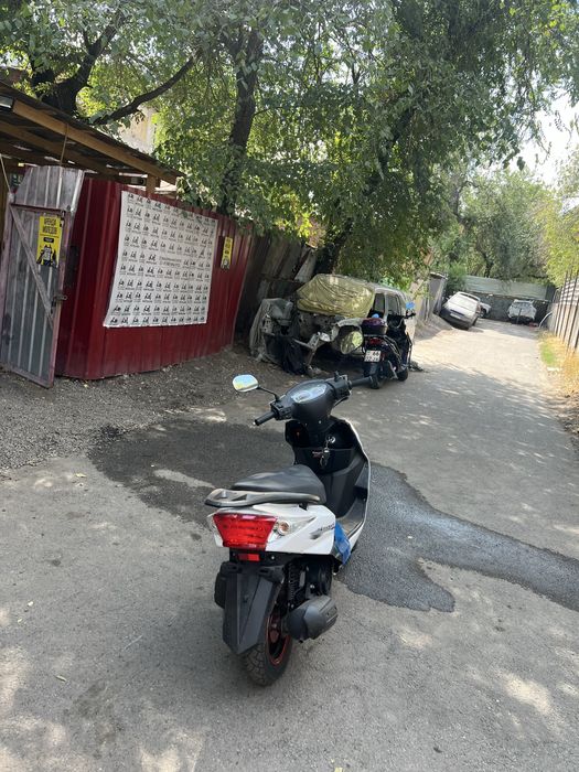 Аренда Мопедов Алматы
