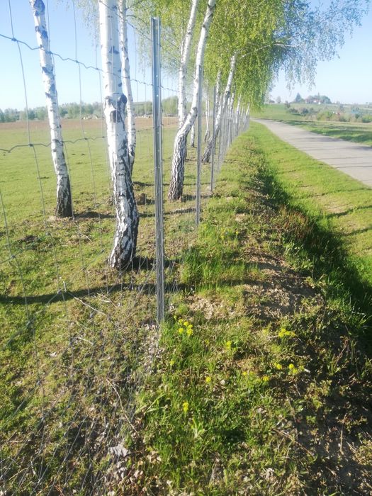 Imprejmuiri, garduri