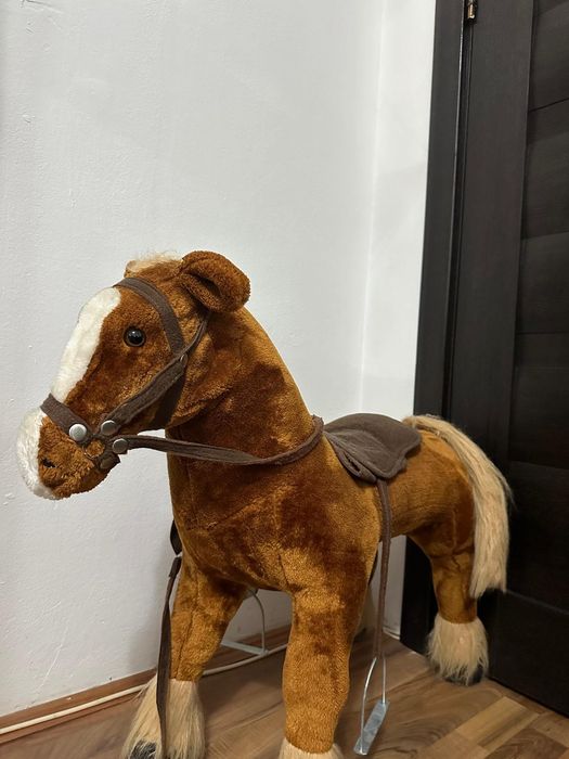 Ponei pentru copii