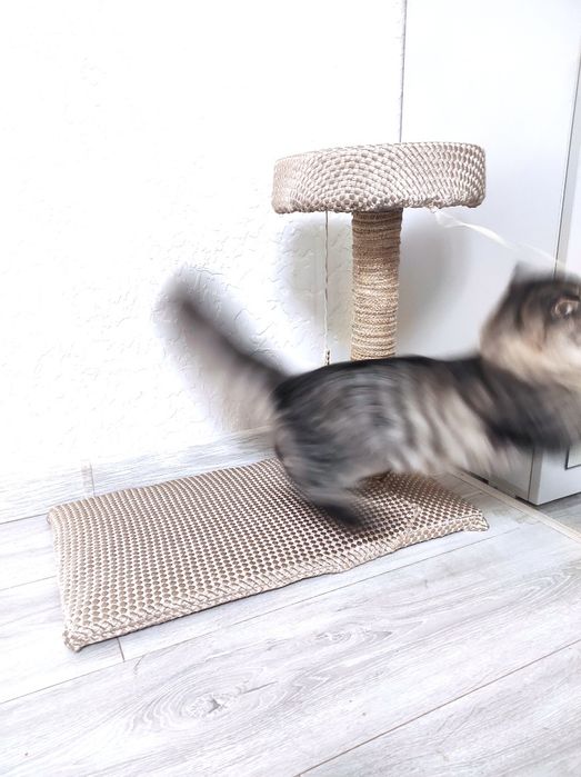 Когтиточка для котов, котят, кошек