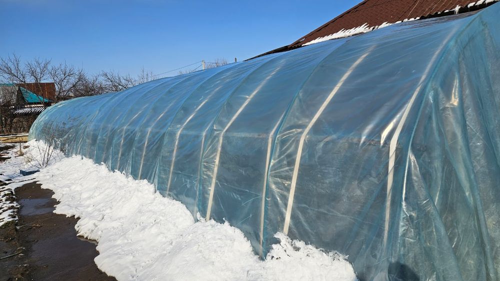 Продается теплица размеры 5*20,100кв.м.