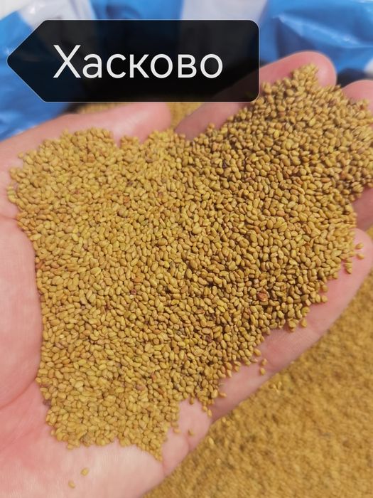 Люцерново семе / Семе люцерна