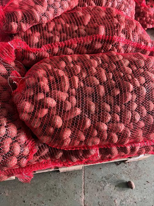 vand cartofi samanta albi si rosii cantitati mari Germania si Romania