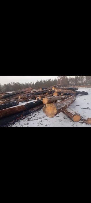 Продам лес находится в селе Талица