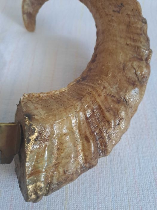 cutit cretan maner corn berbec