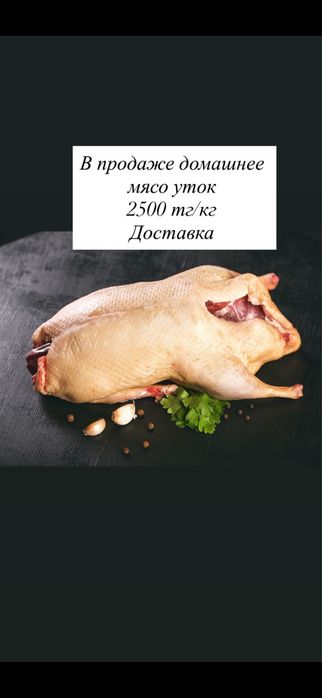 Продаются тушки домашних уток