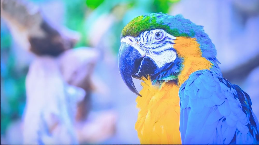 Smart Samsung 65 BU8000