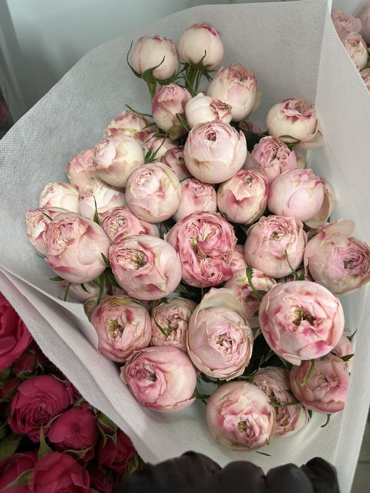 Тюльпаны, букеты, розы, кустовык розы