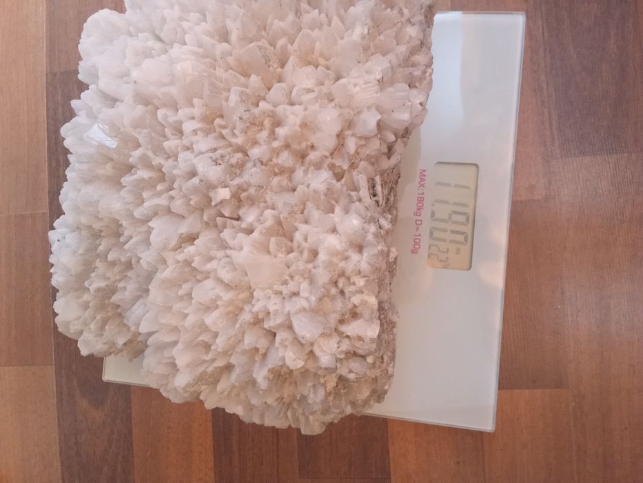 Vând flori de mina .floarea intunericului Preț 6000