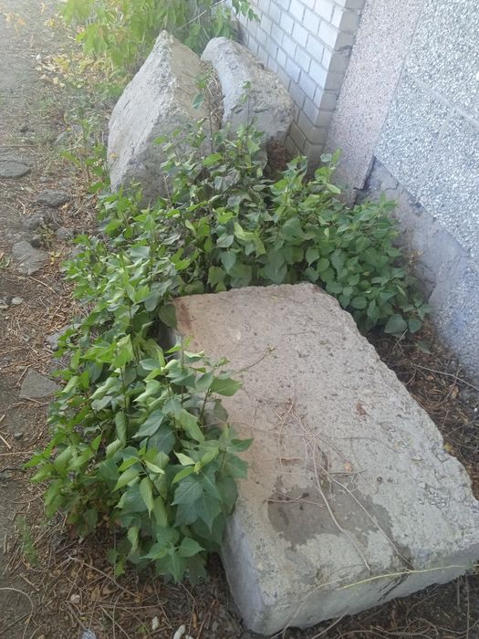 Продам блоки б/у