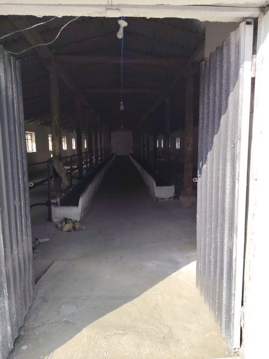 Ferma 50 sotixlik sotiladi