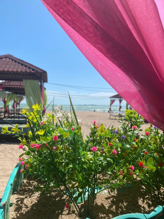 Продам тапчаны  уличные для бизнеса