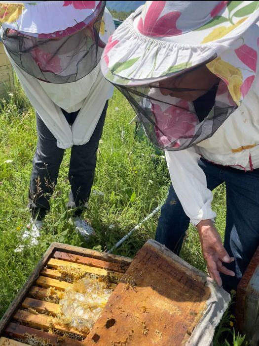 Мед. Катон Карагай. Алтай. Шымкент.