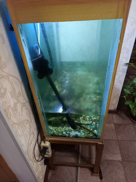 Аквариум продам.  .