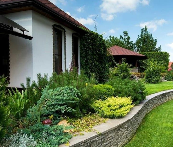 Услуги по озеленению учаска