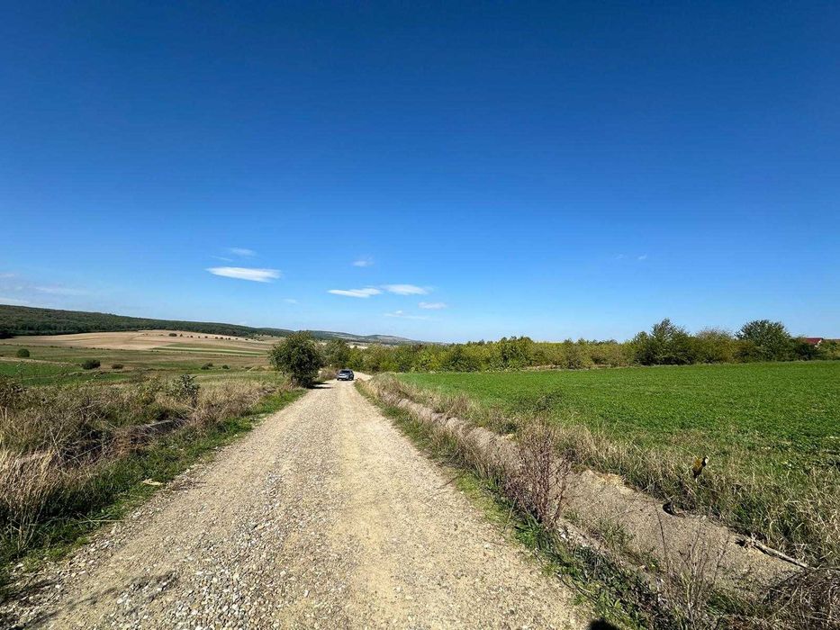 Teren de vanzare in Adancata 43 ari - pretabil ansamblu imobiliar