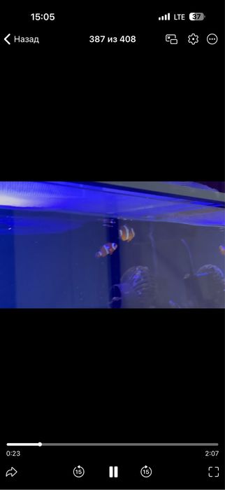 Морской аквариум