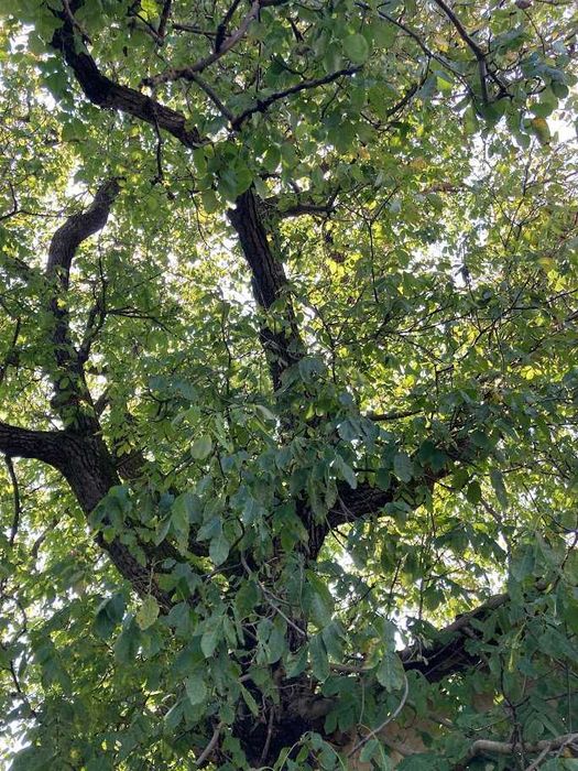 Продава се Къща в с. Черкаски, Област Монтана - 90 кв.м за 748 €/кв.м - Снимка #12