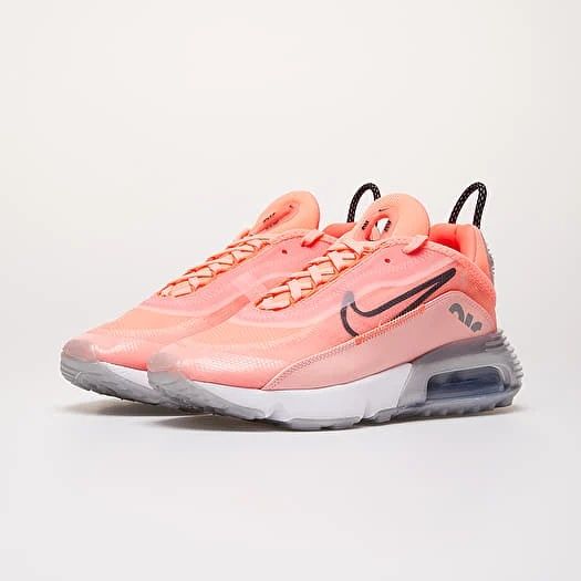 Nike W Air Max 2090